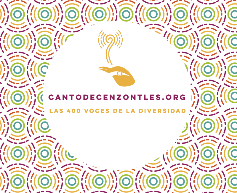 Canto de Cenzontles