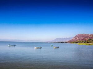 Chapala, un lago vivo que enferma