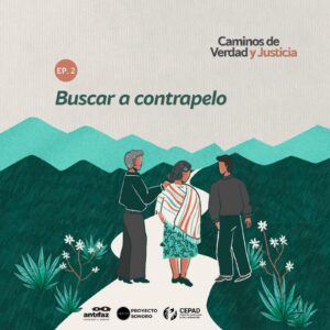 Desapariciones forzadas: Buscando a contrapelo